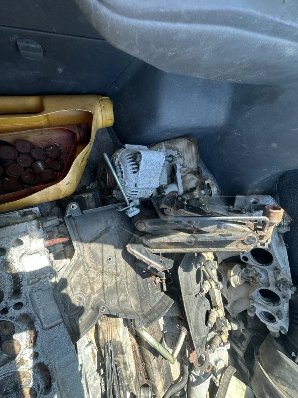 IMG_3090 – grande.jpeg