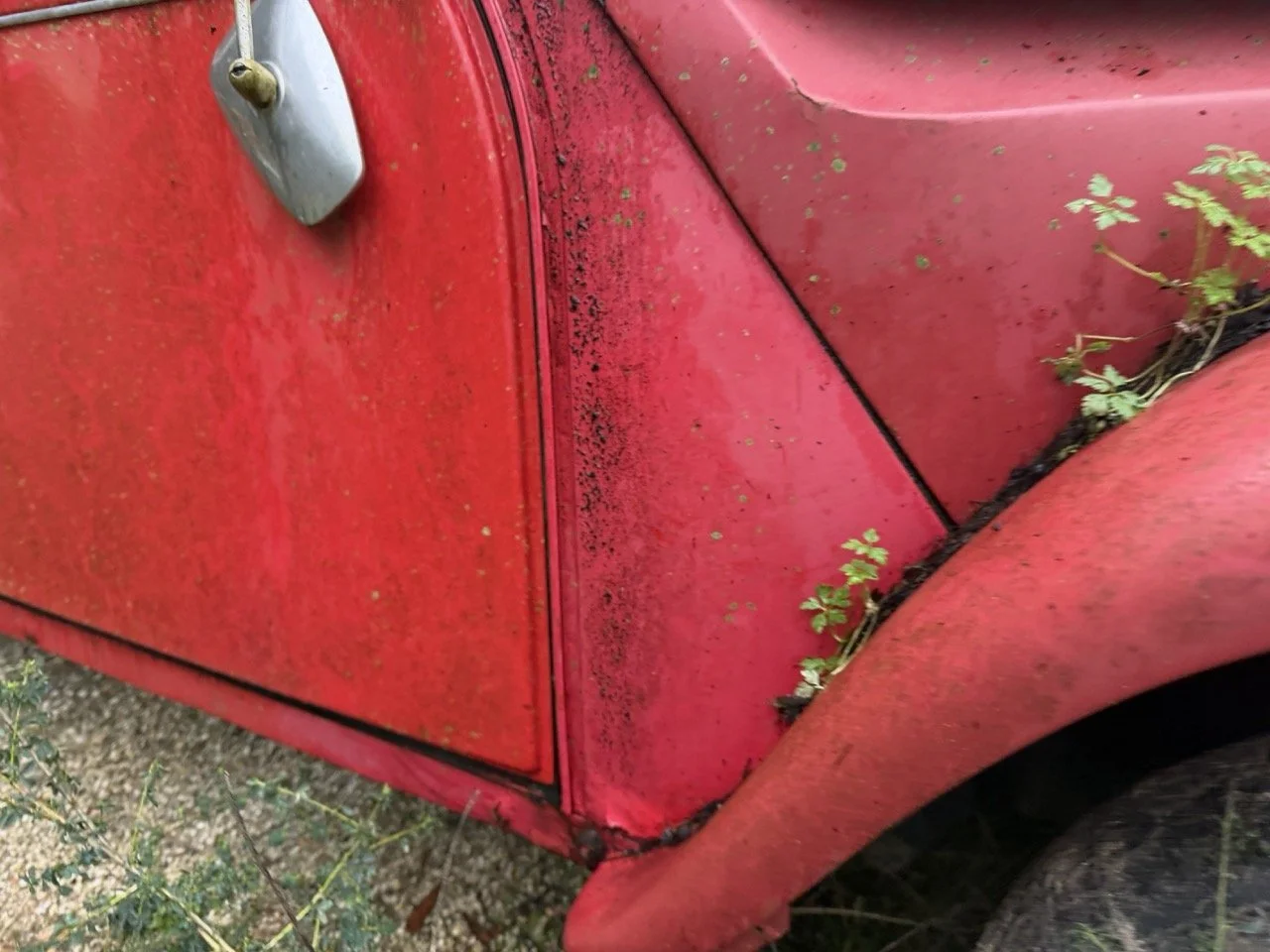 IMG_5515 – grande.jpeg