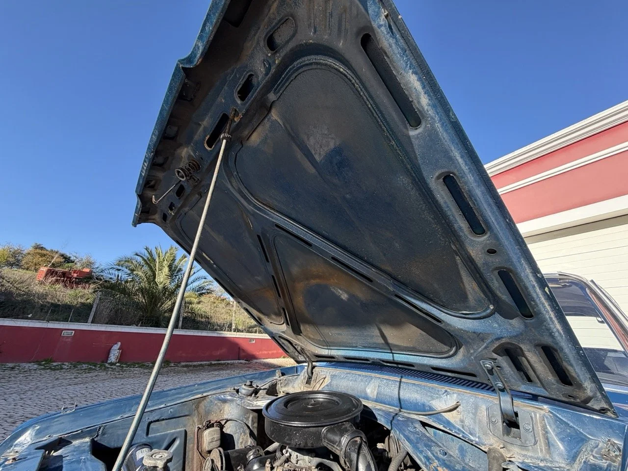 IMG_1854 – grande.jpeg