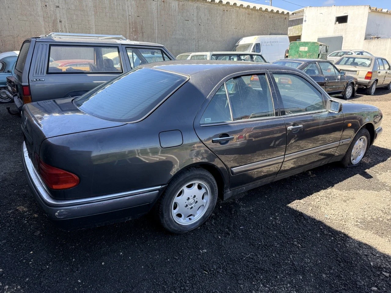 IMG_1729 – grande.jpeg