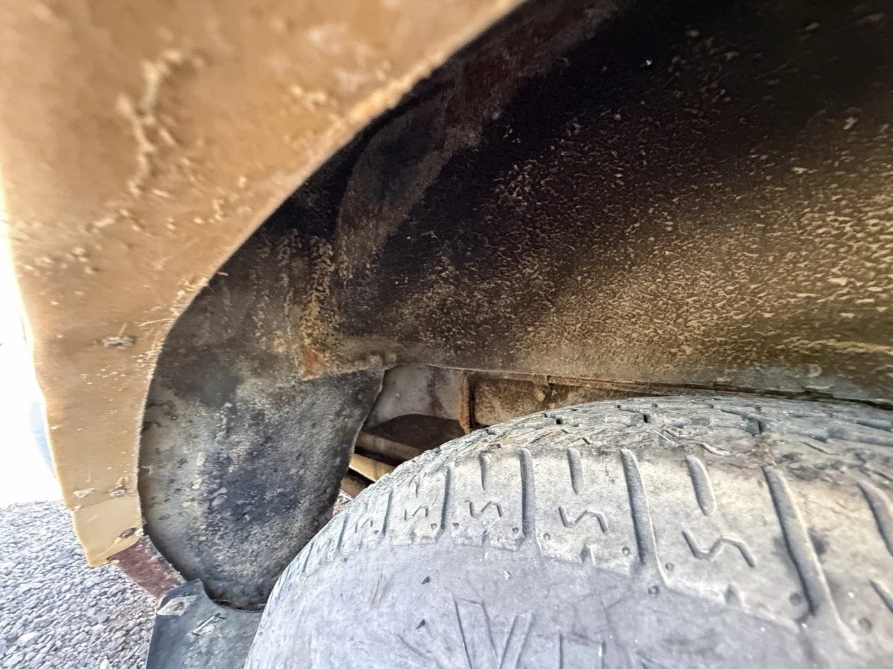 IMG_3068 – grande.jpeg