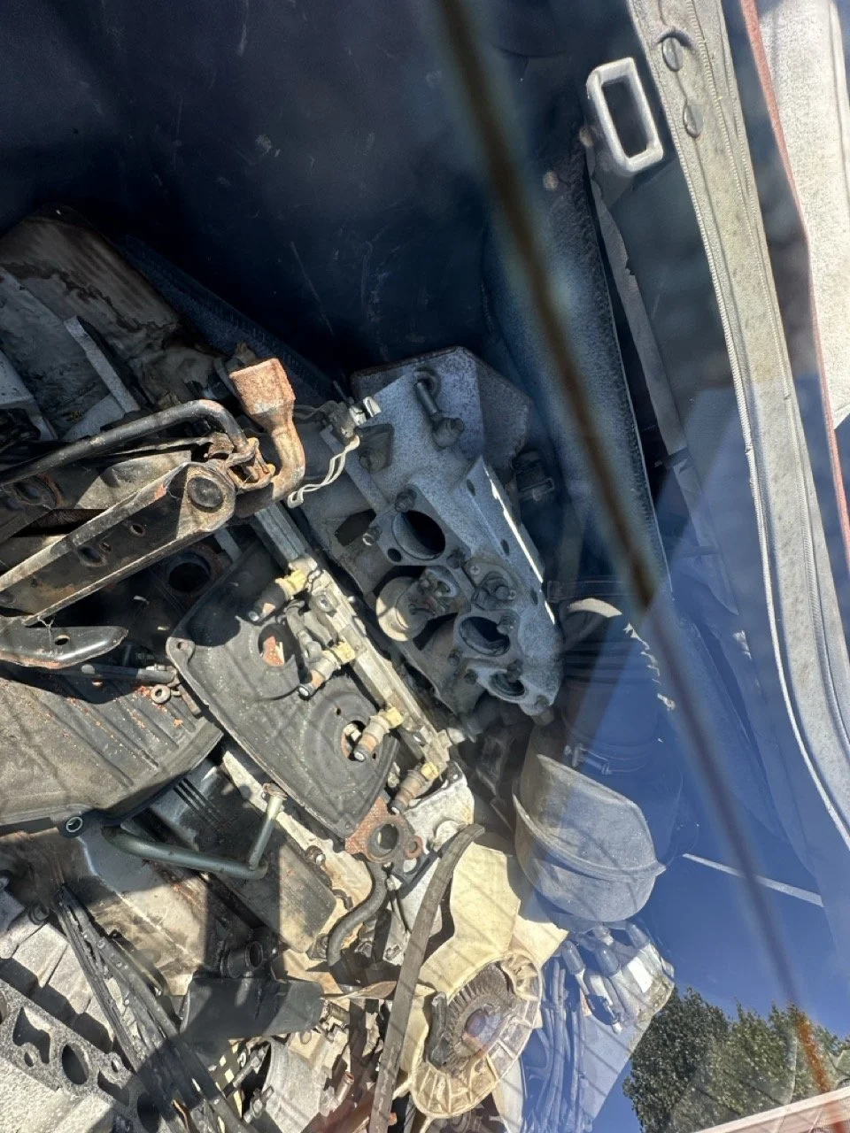 IMG_3091 – grande.jpeg