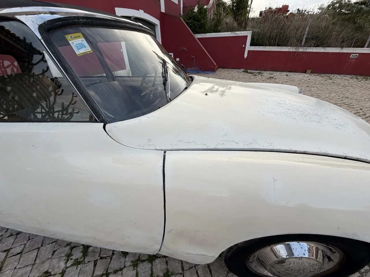 IMG_5983 2 – grande.jpeg