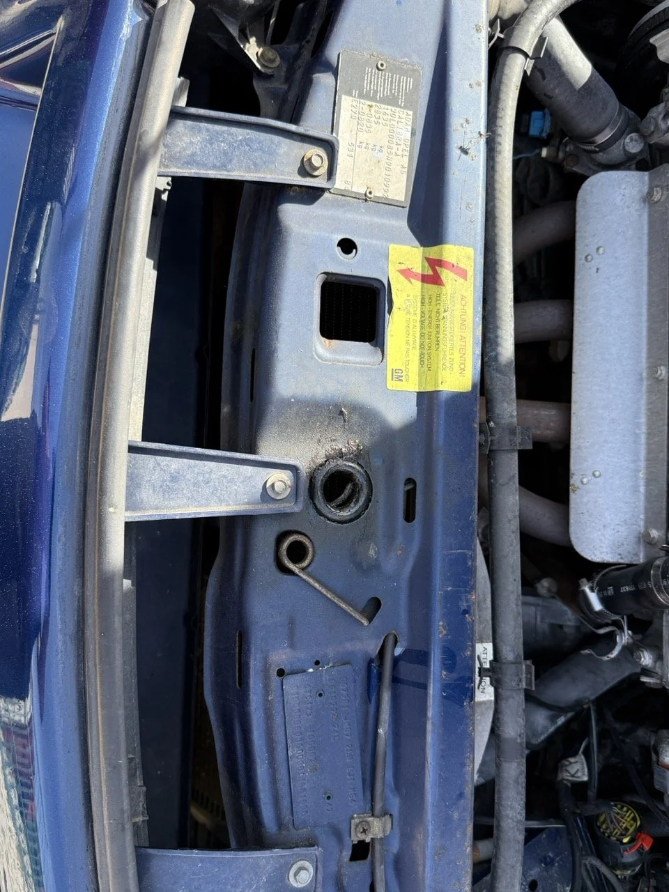 IMG_2432 – grande.jpeg