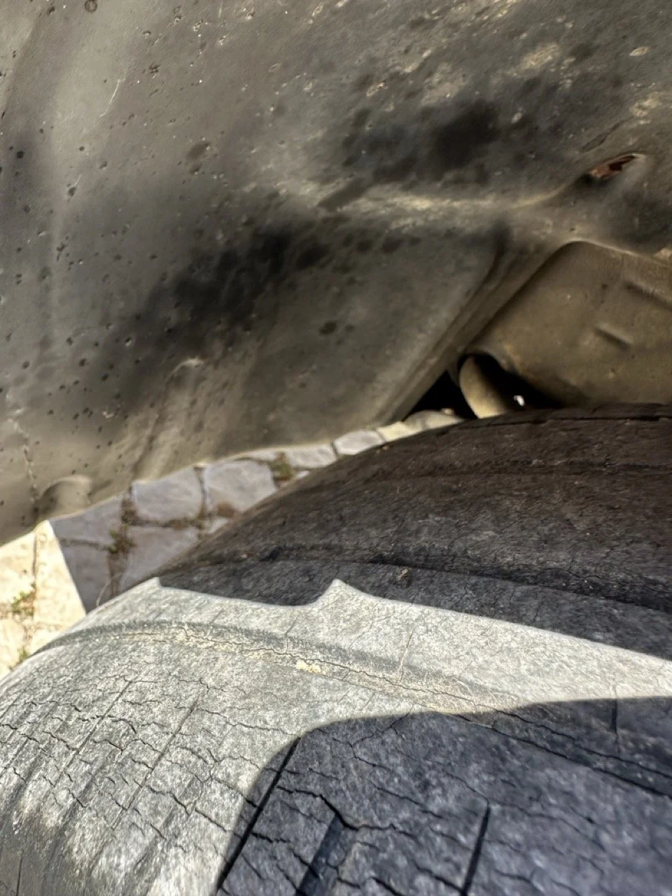 IMG_3119 – grande.jpeg