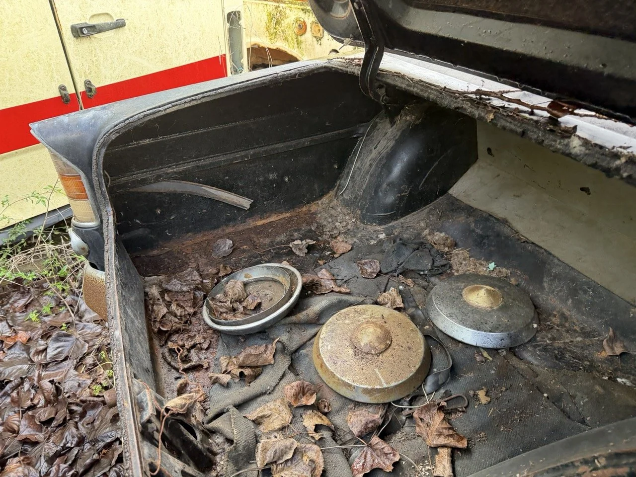 IMG_5052 – grande.jpeg