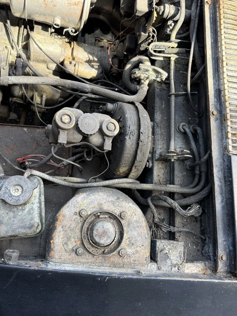 IMG_0616 – grande.jpeg