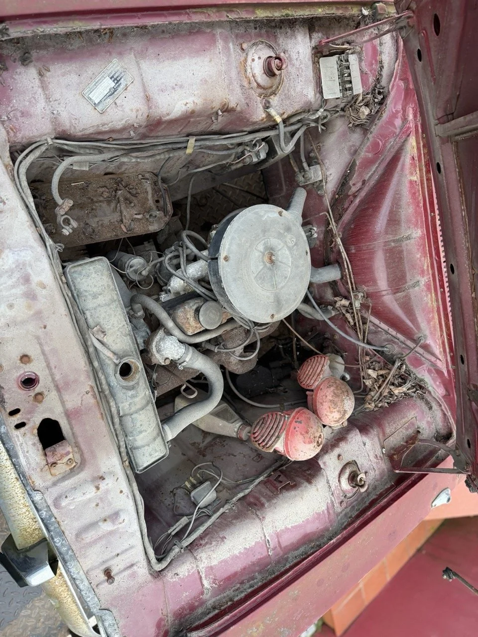 IMG_8953 – grande.jpeg