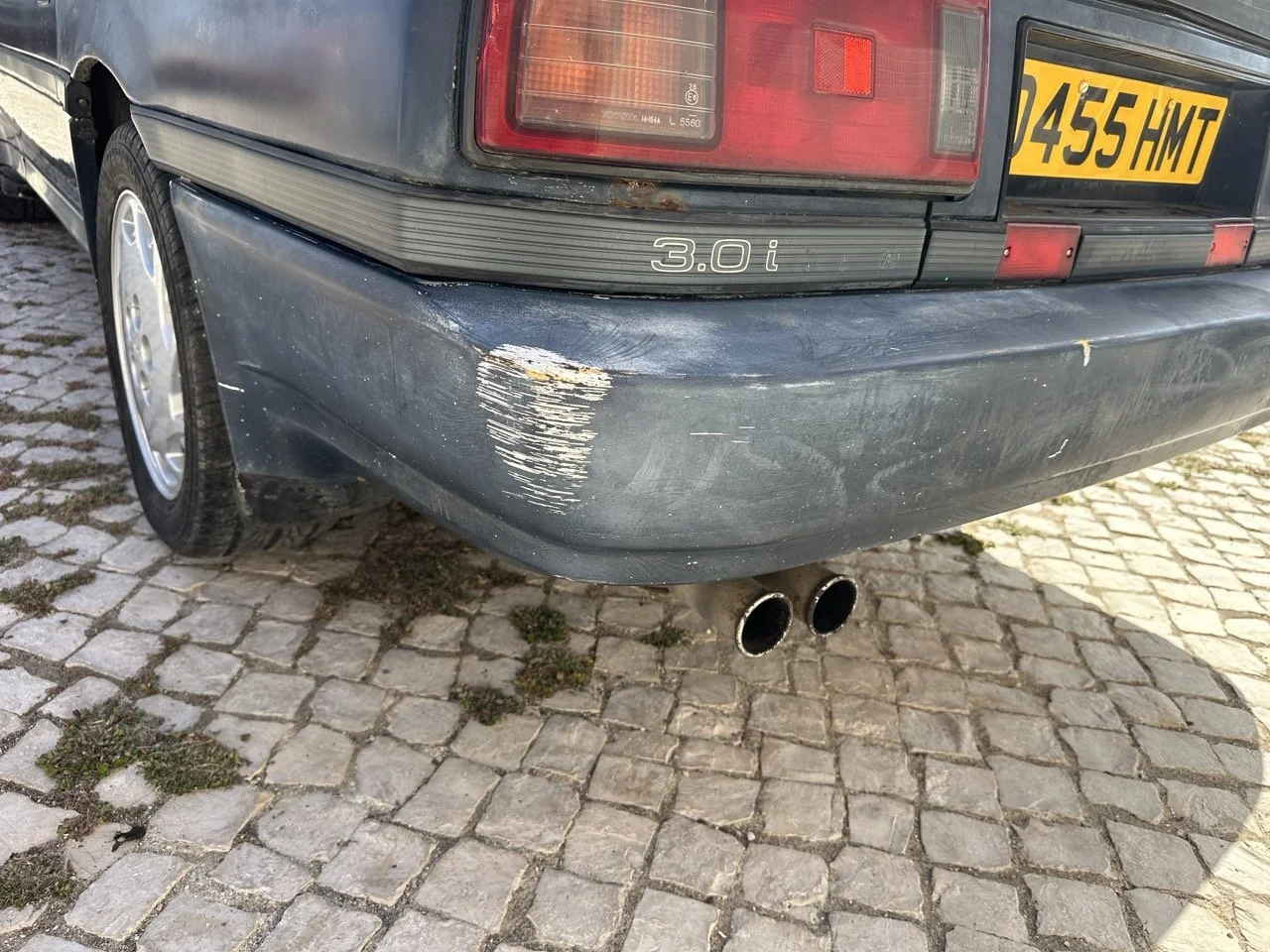 IMG_7230 – grande.jpeg