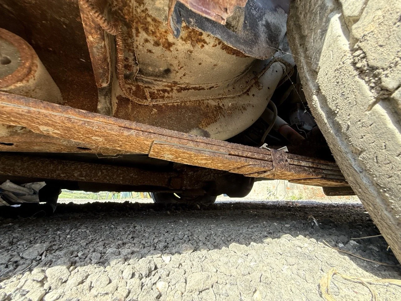 IMG_3051 – grande.jpeg