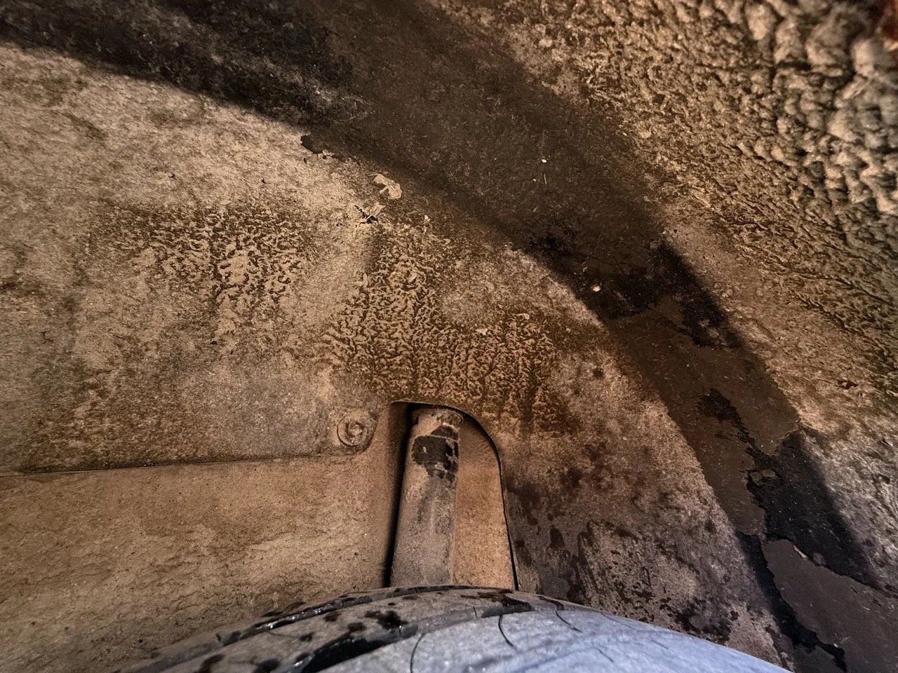 IMG_1815 – grande.jpeg