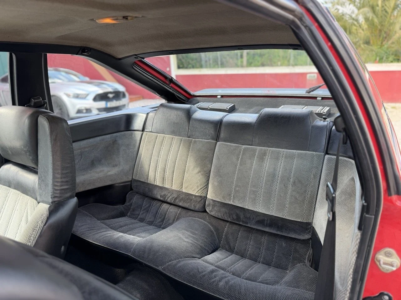 IMG_2315 – grande.jpeg