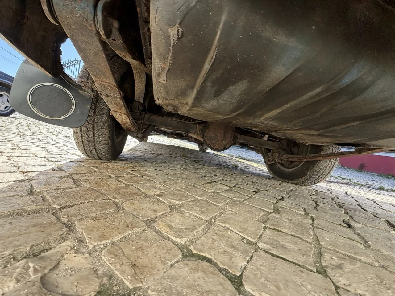 IMG_1902 – grande.jpeg