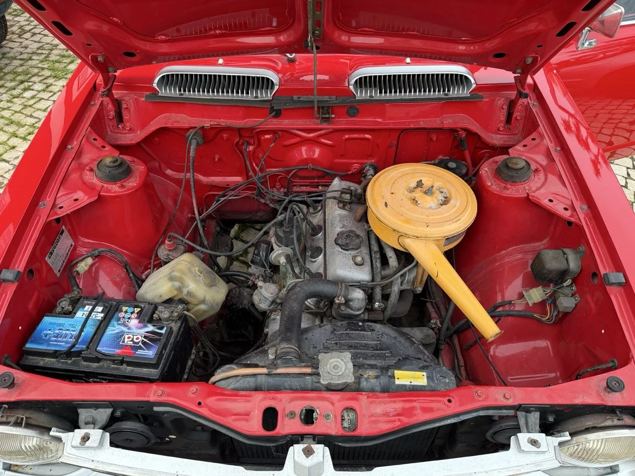 IMG_8249 – grande.jpeg