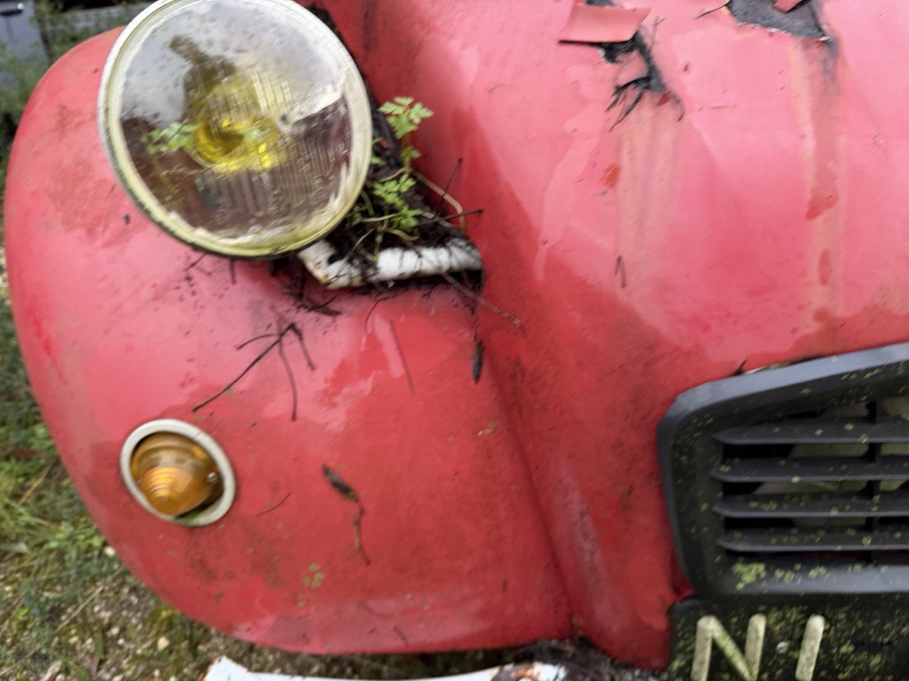 IMG_5495 – grande.jpeg