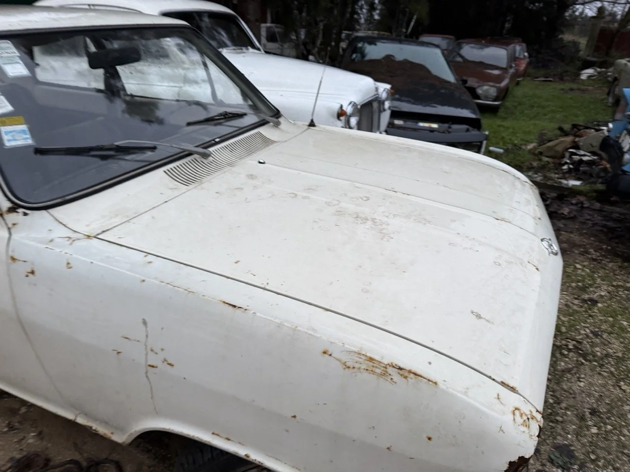 IMG_0124 – grande.jpeg