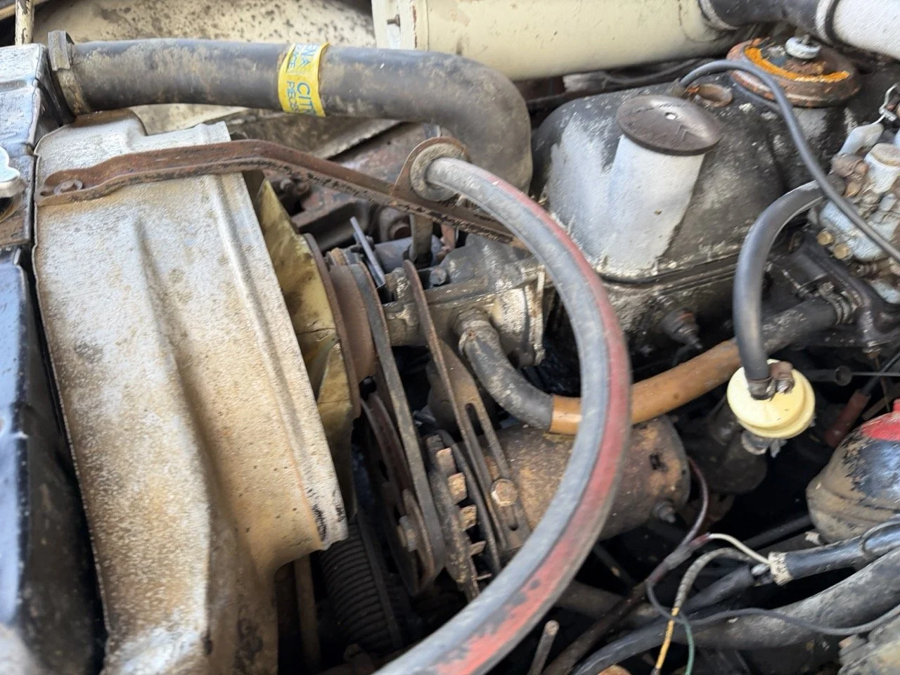 IMG_5969 2 – grande.jpeg