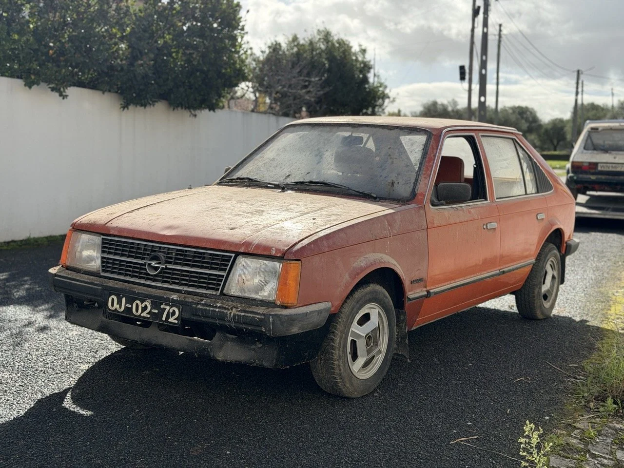 IMG_2929 – grande.jpeg