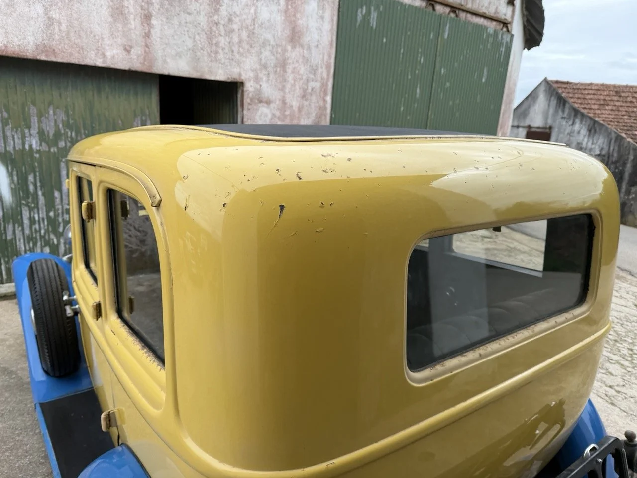 IMG_1552 – grande.jpeg