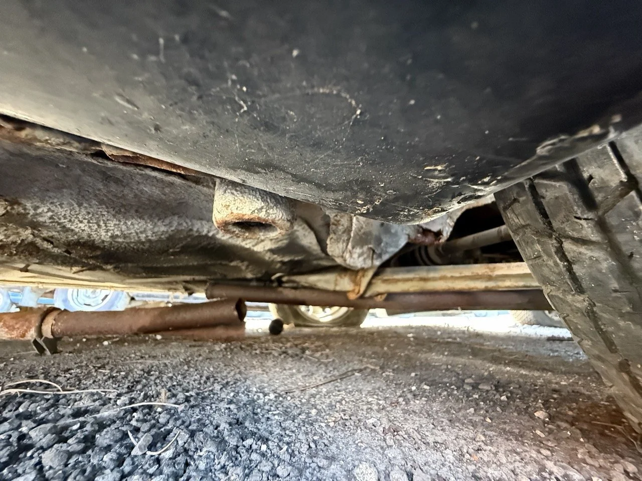 IMG_2960 – grande.jpeg