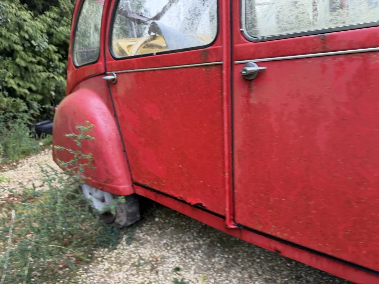 IMG_5516 – grande.jpeg