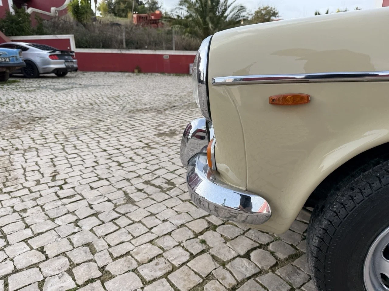 IMG_4103 – grande.jpeg