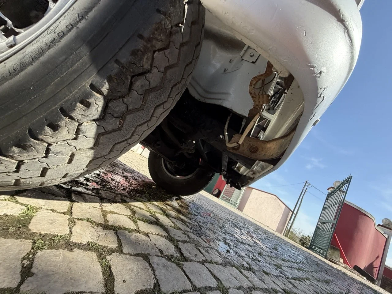 IMG_8588 2 – grande.jpeg