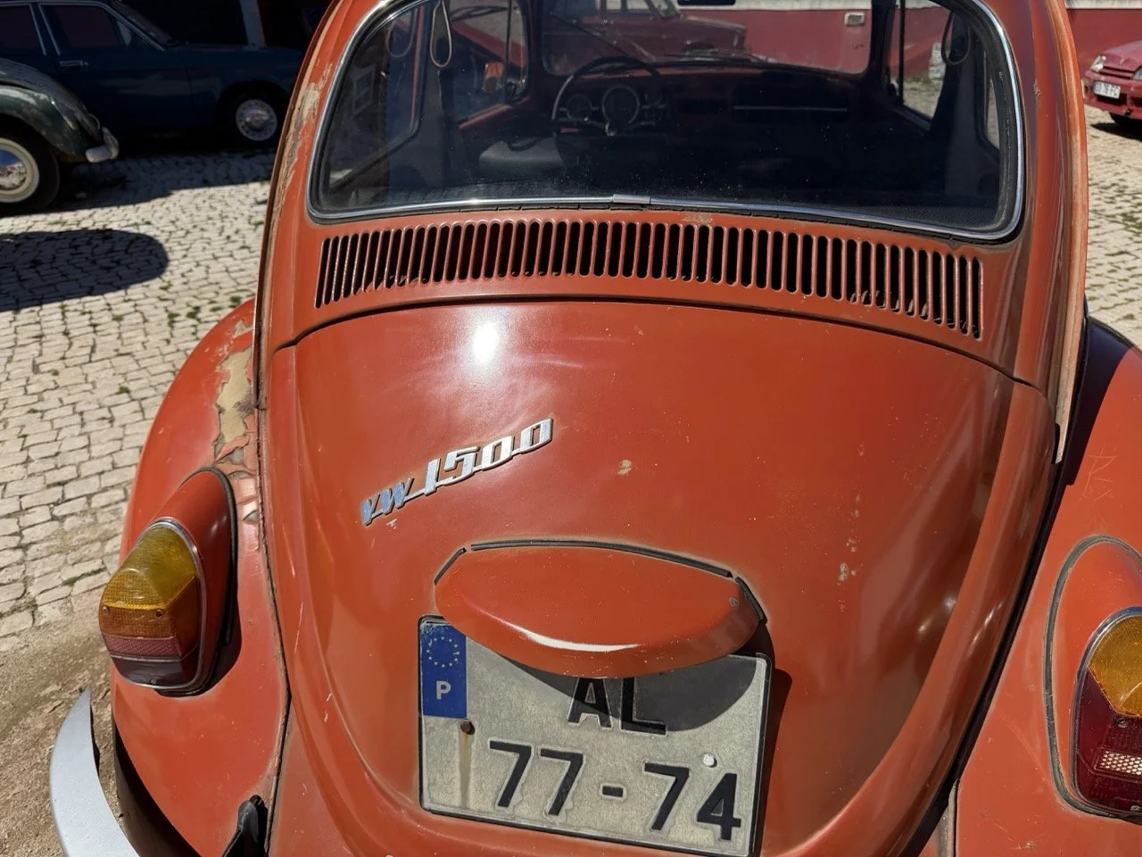 IMG_7583 – grande.jpeg