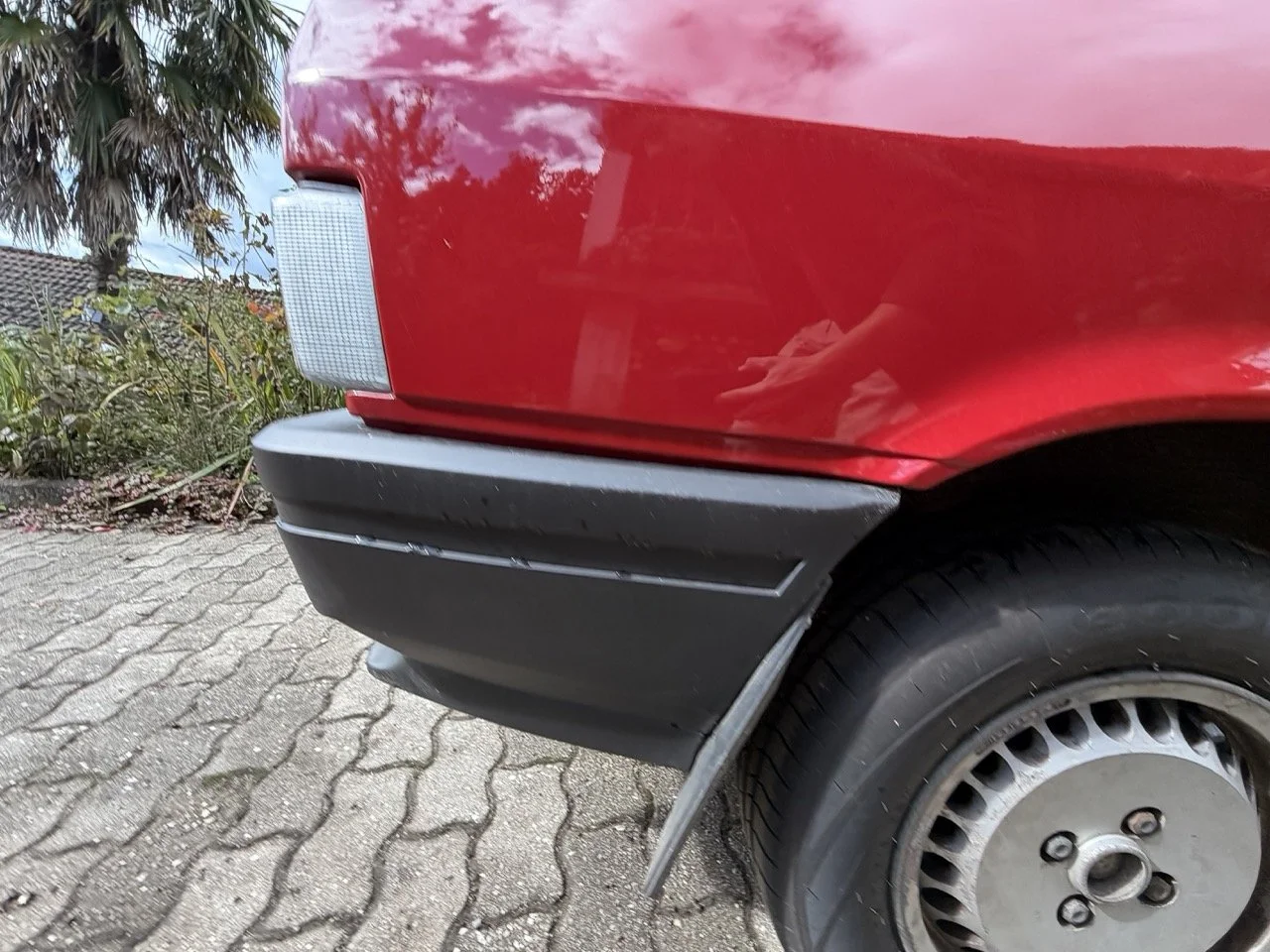 IMG_3269 – grande.jpeg