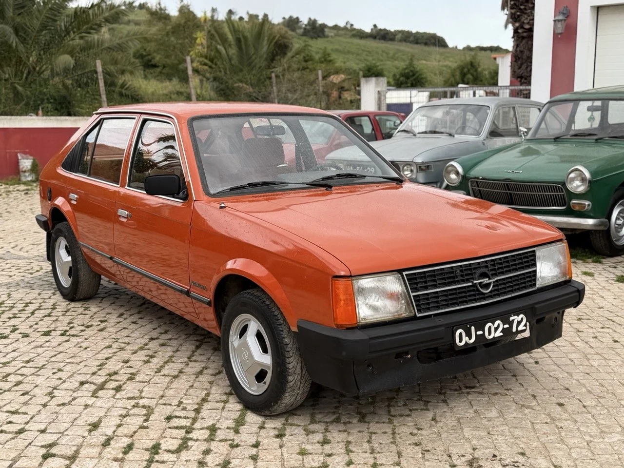 IMG_0203 – grande.jpeg