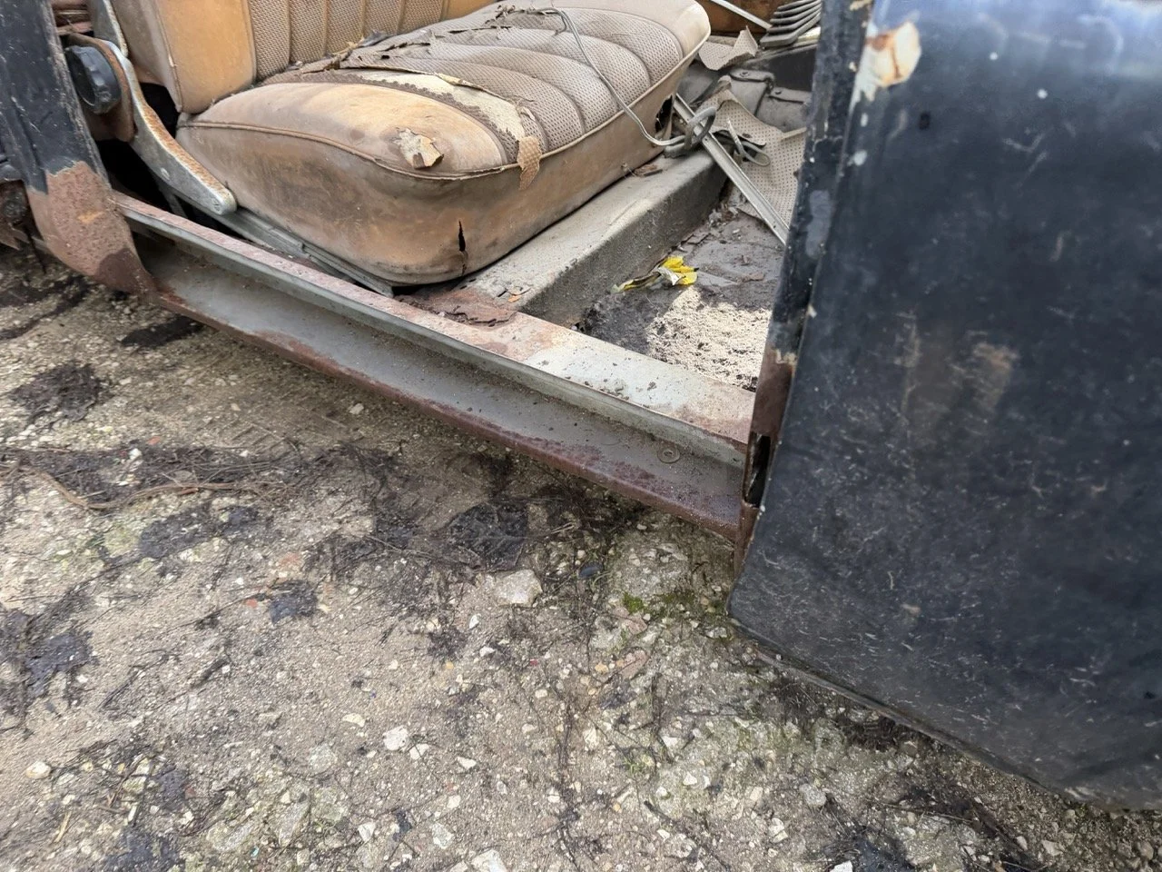 IMG_5247 – grande.jpeg