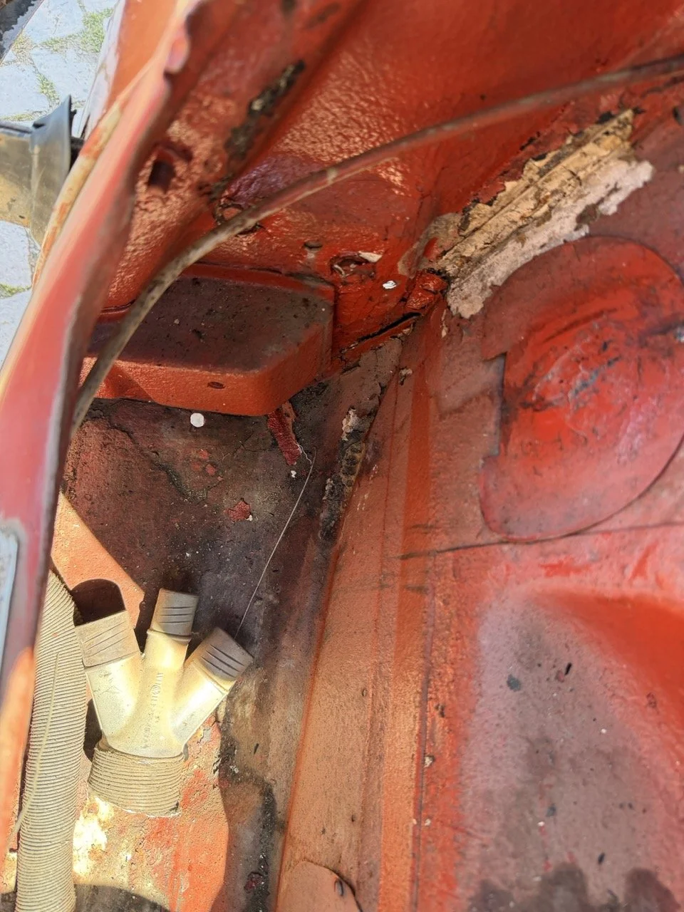 IMG_7565 – grande.jpeg