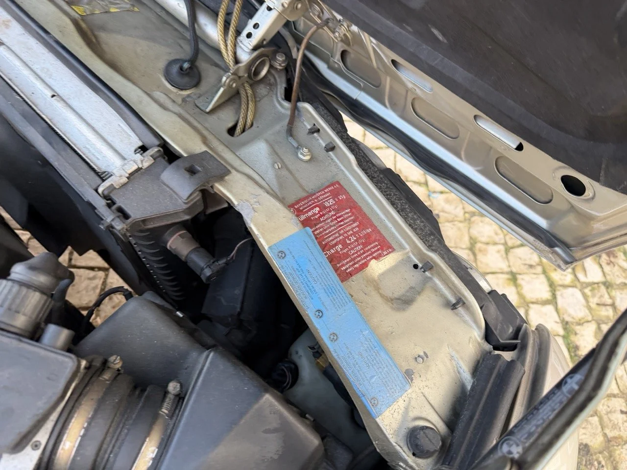 IMG_6984 2 – grande.jpeg