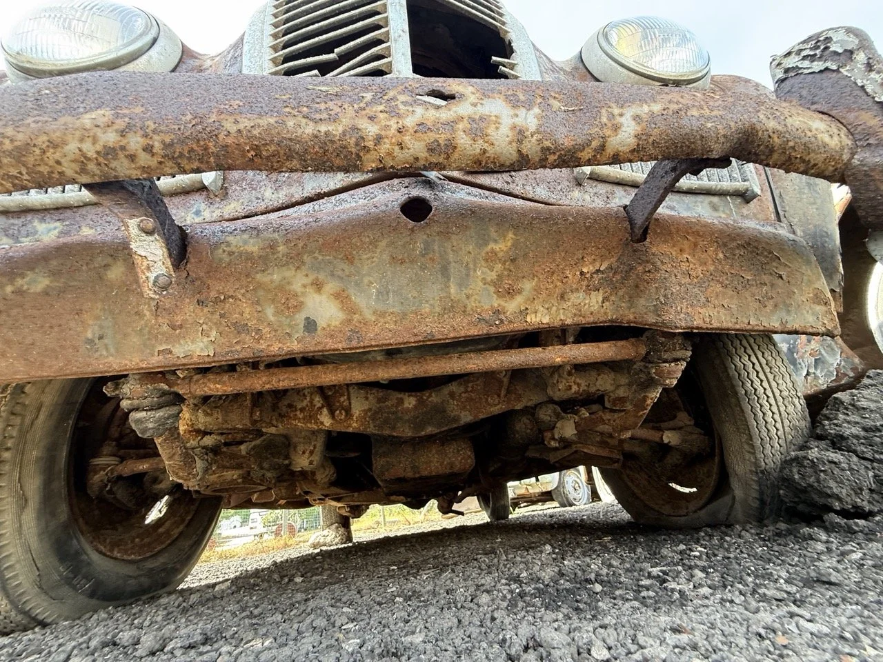 IMG_0447 – grande.jpeg