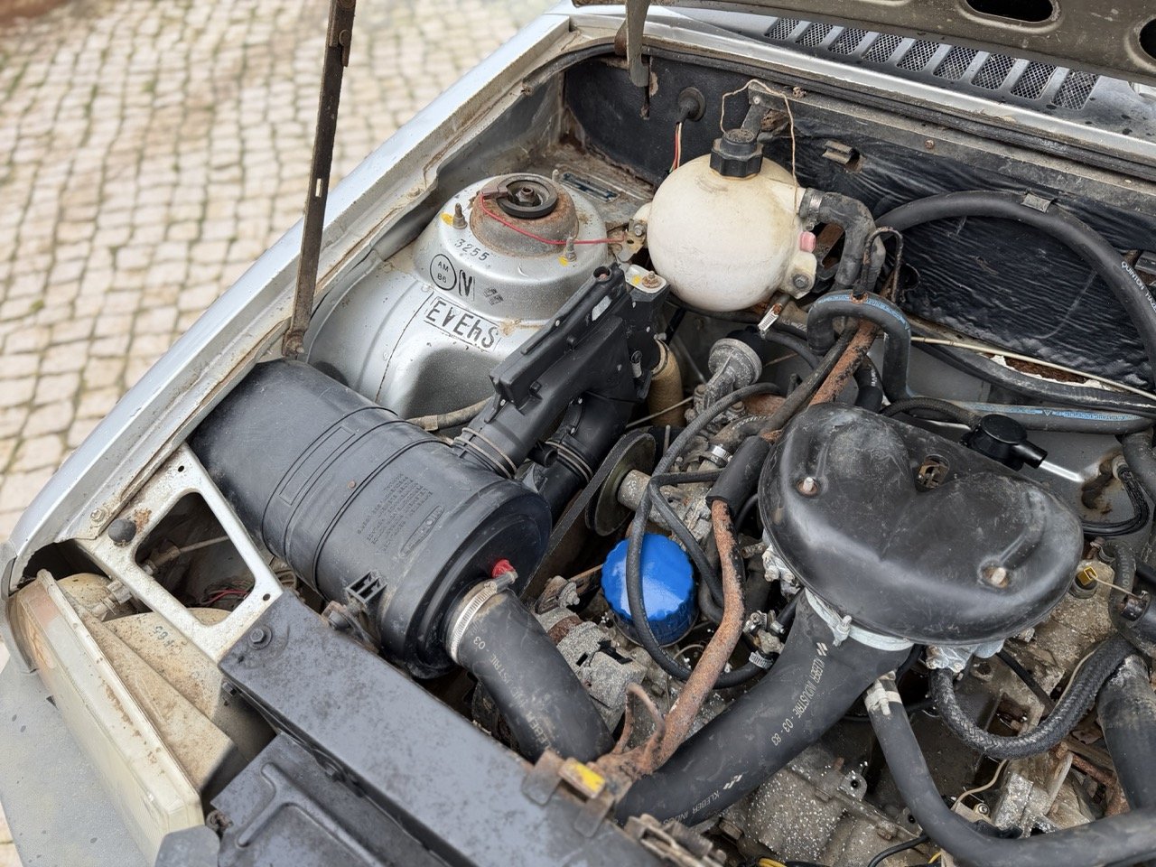 IMG_0520 – grande.jpeg