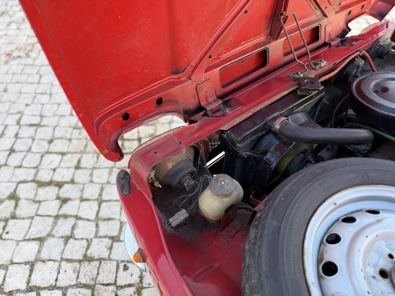 IMG_7169 – grande.jpeg