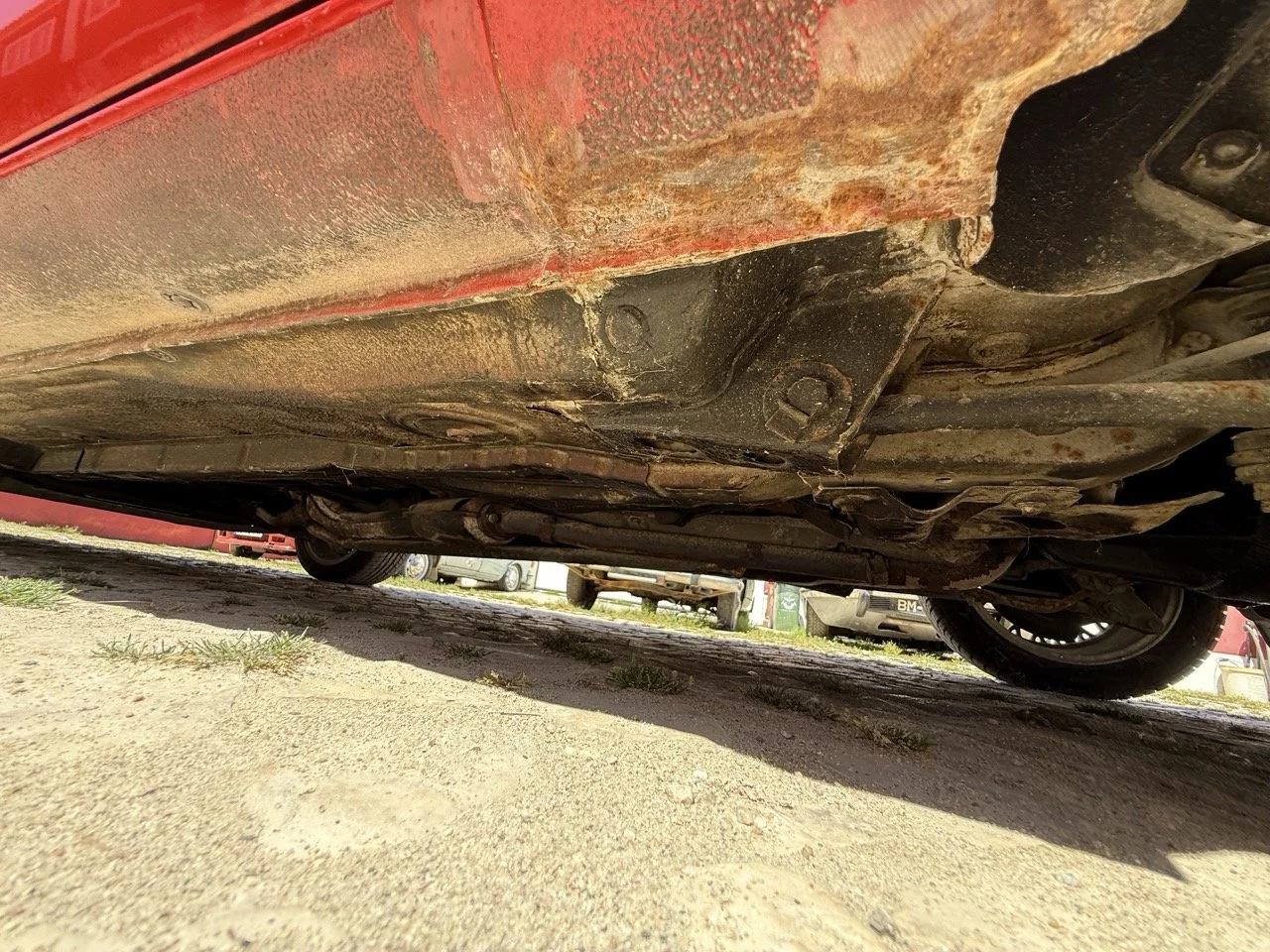 IMG_2102 – grande.jpeg