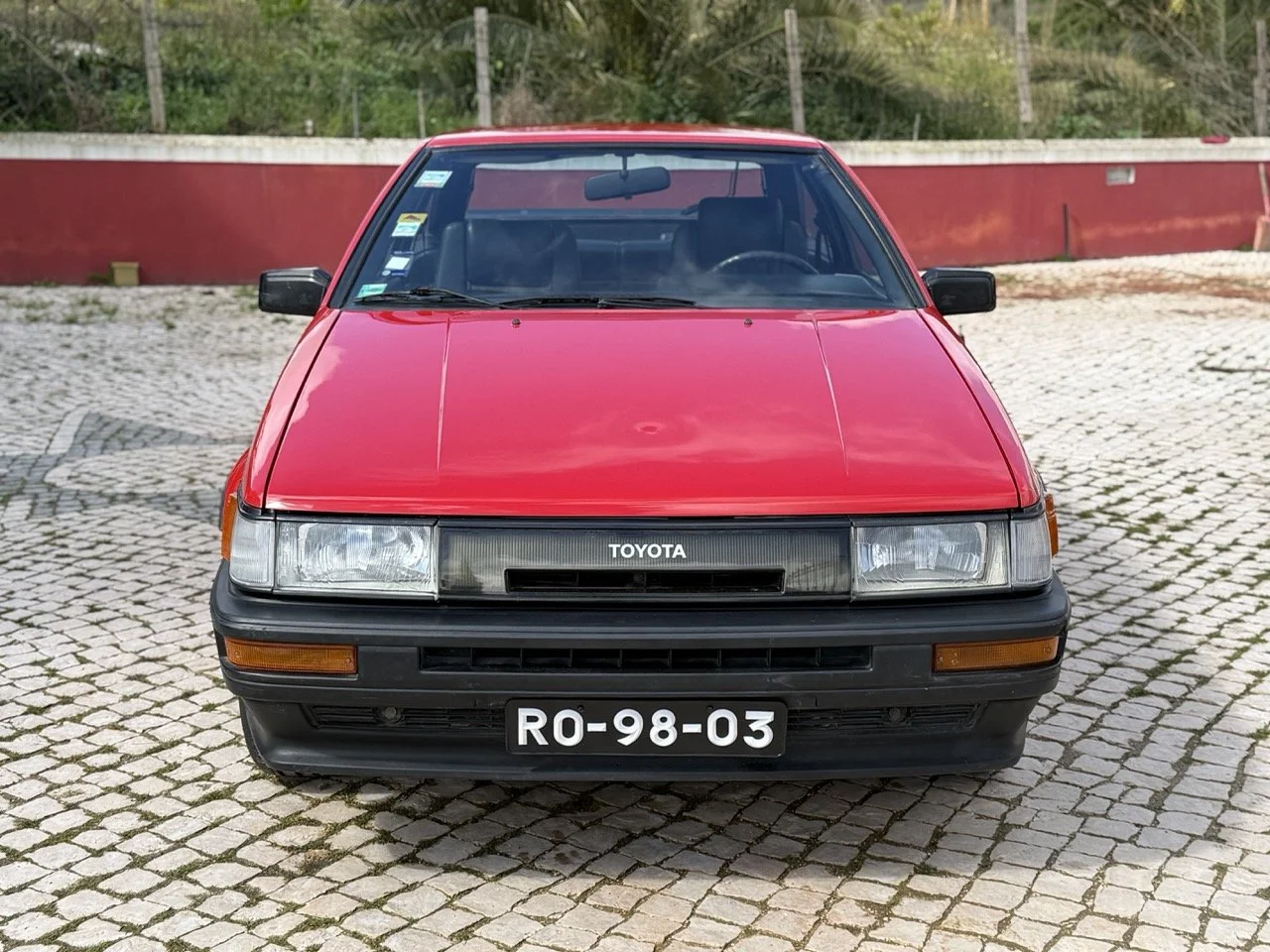 IMG_2262 – grande.jpeg