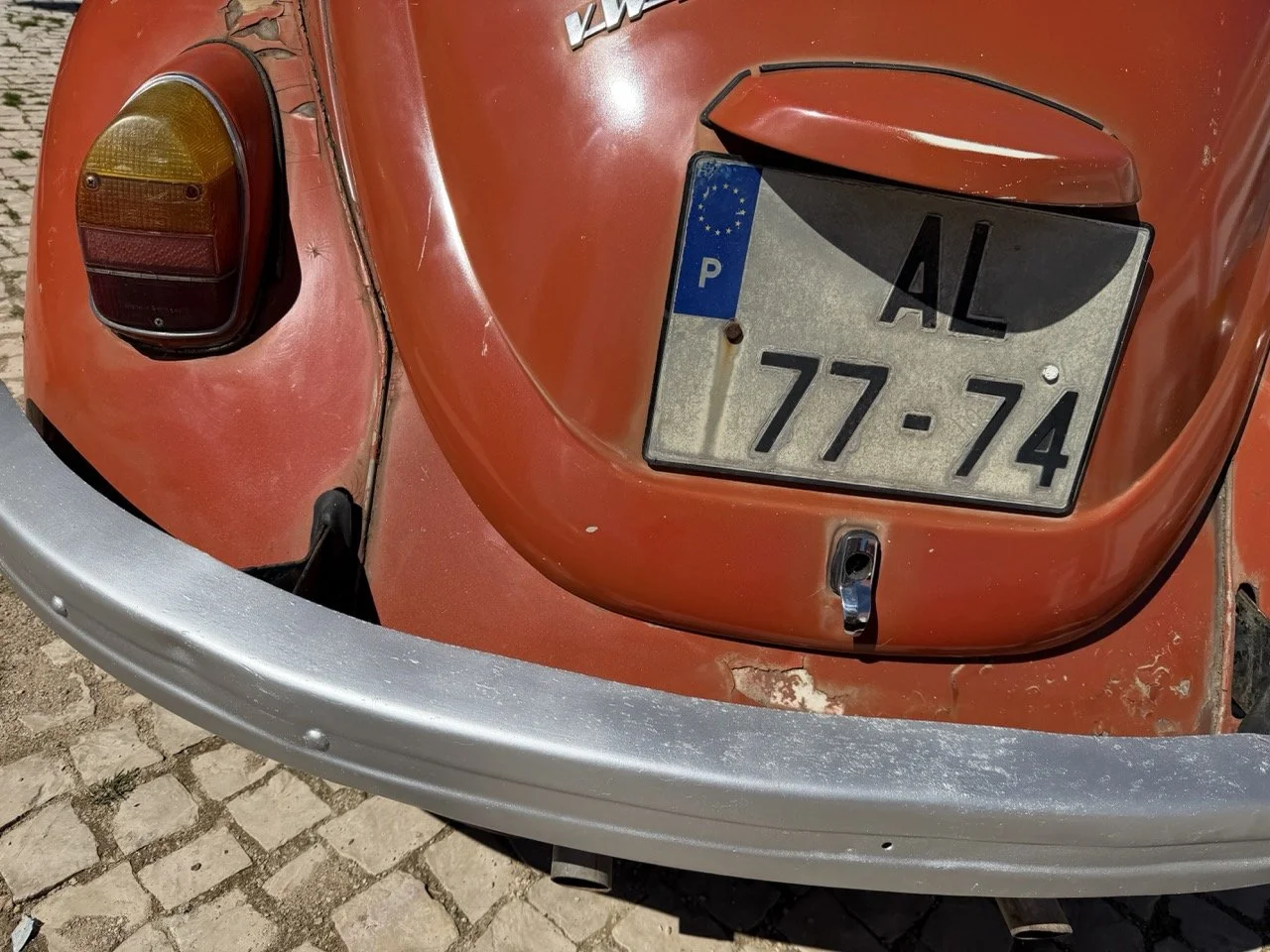 IMG_7582 – grande.jpeg