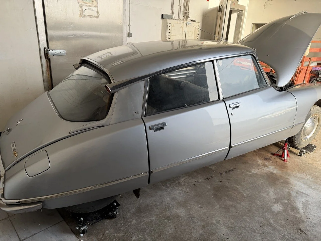 IMG_0341 – grande.jpeg