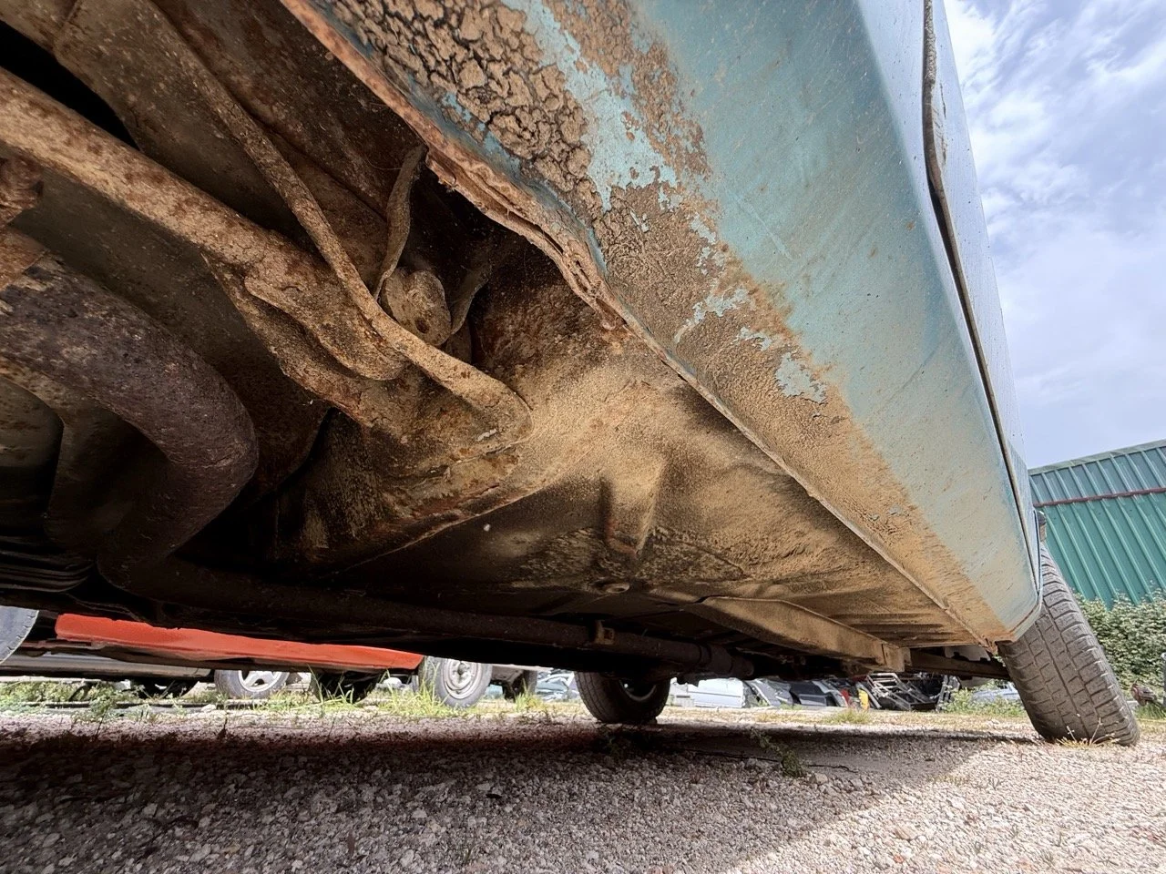 IMG_1570 – grande.jpeg