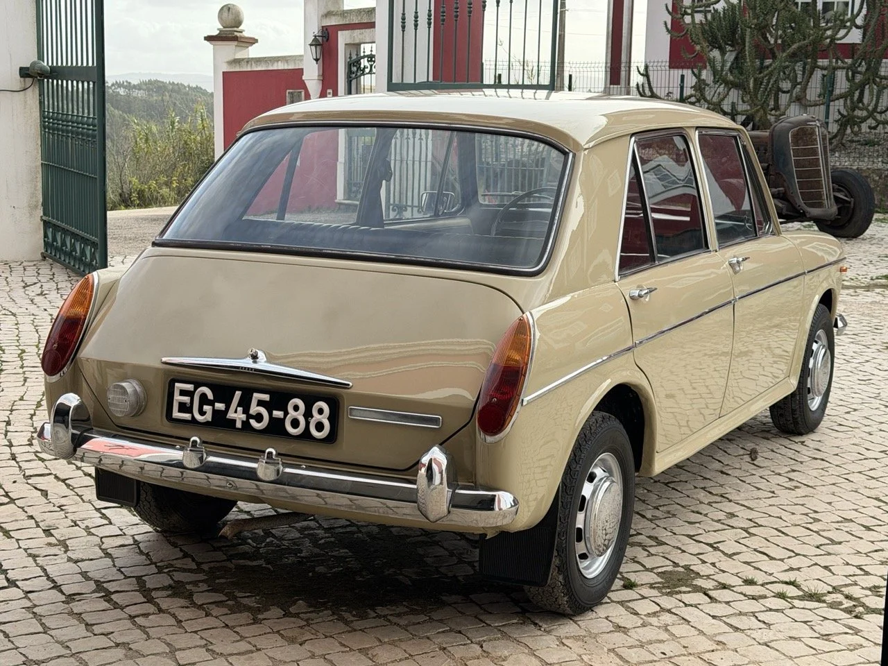 IMG_4016 – grande.jpeg