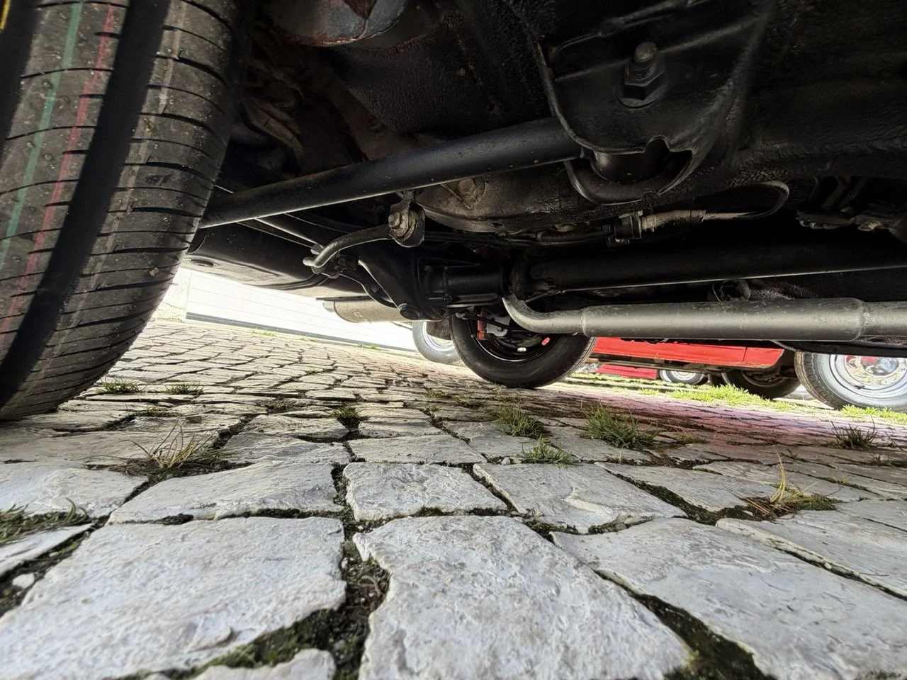 IMG_2453 – grande.jpeg