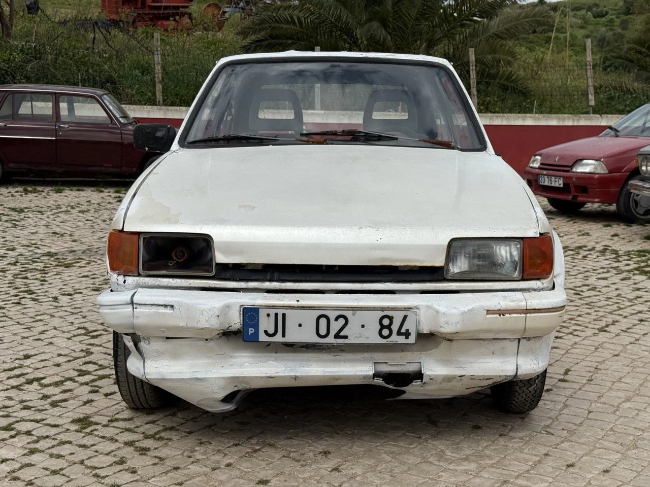 IMG_8457 – grande.jpeg