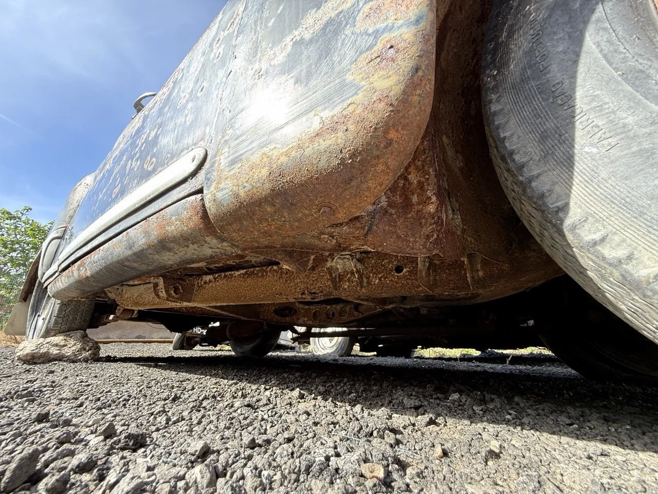 IMG_0456 – grande.jpeg