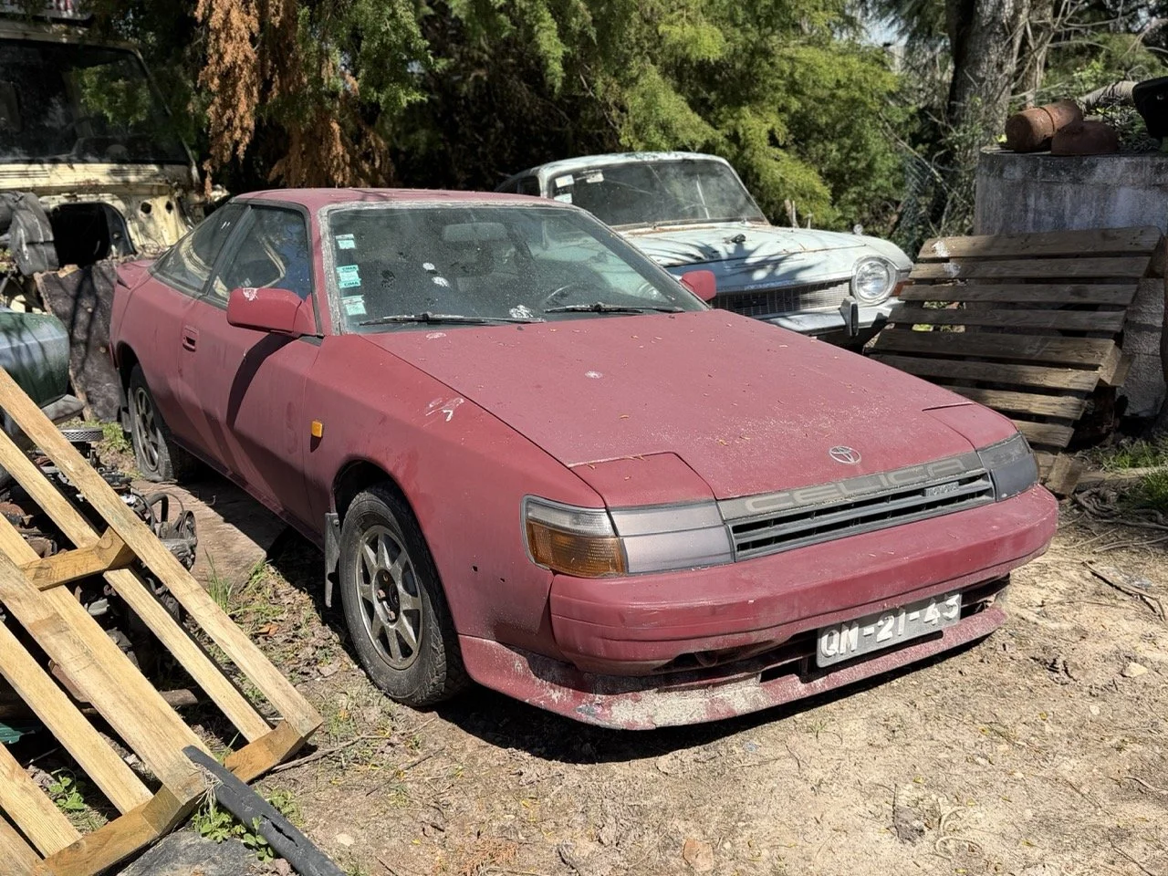 IMG_7609 – grande.jpeg