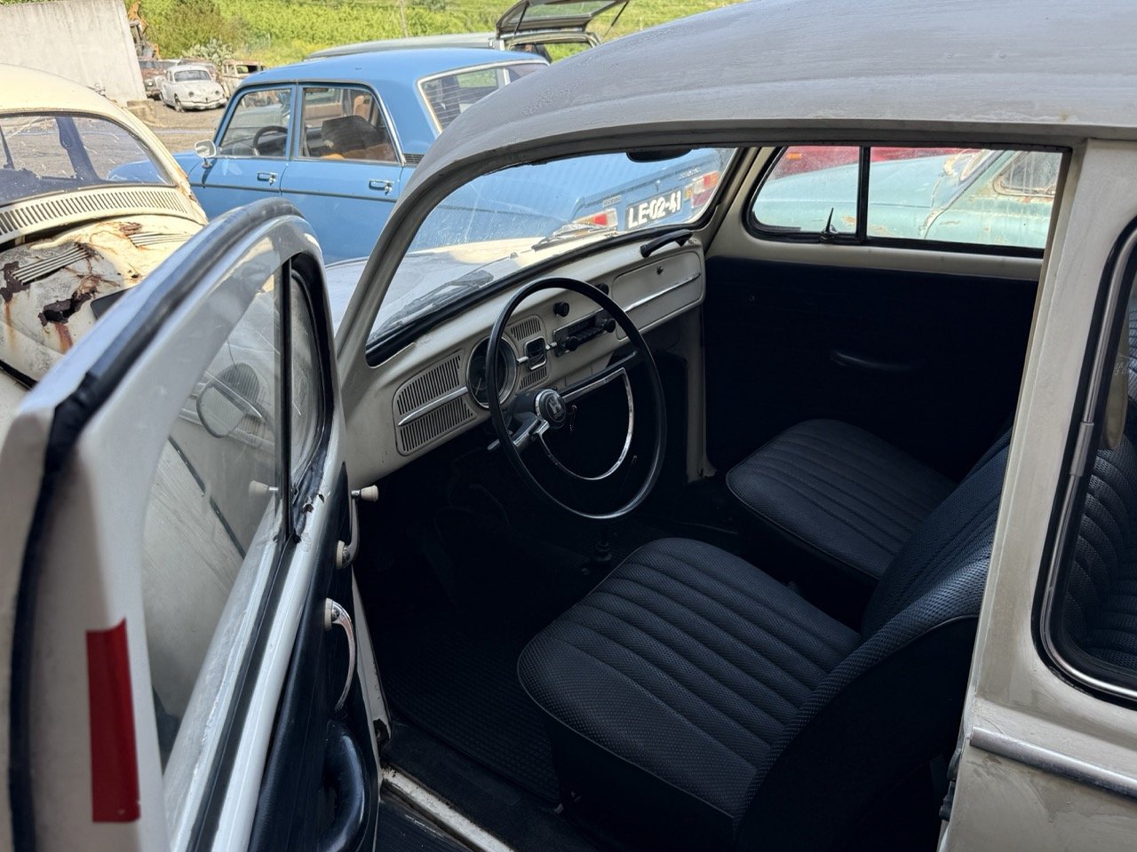 IMG_0681 – grande.jpeg