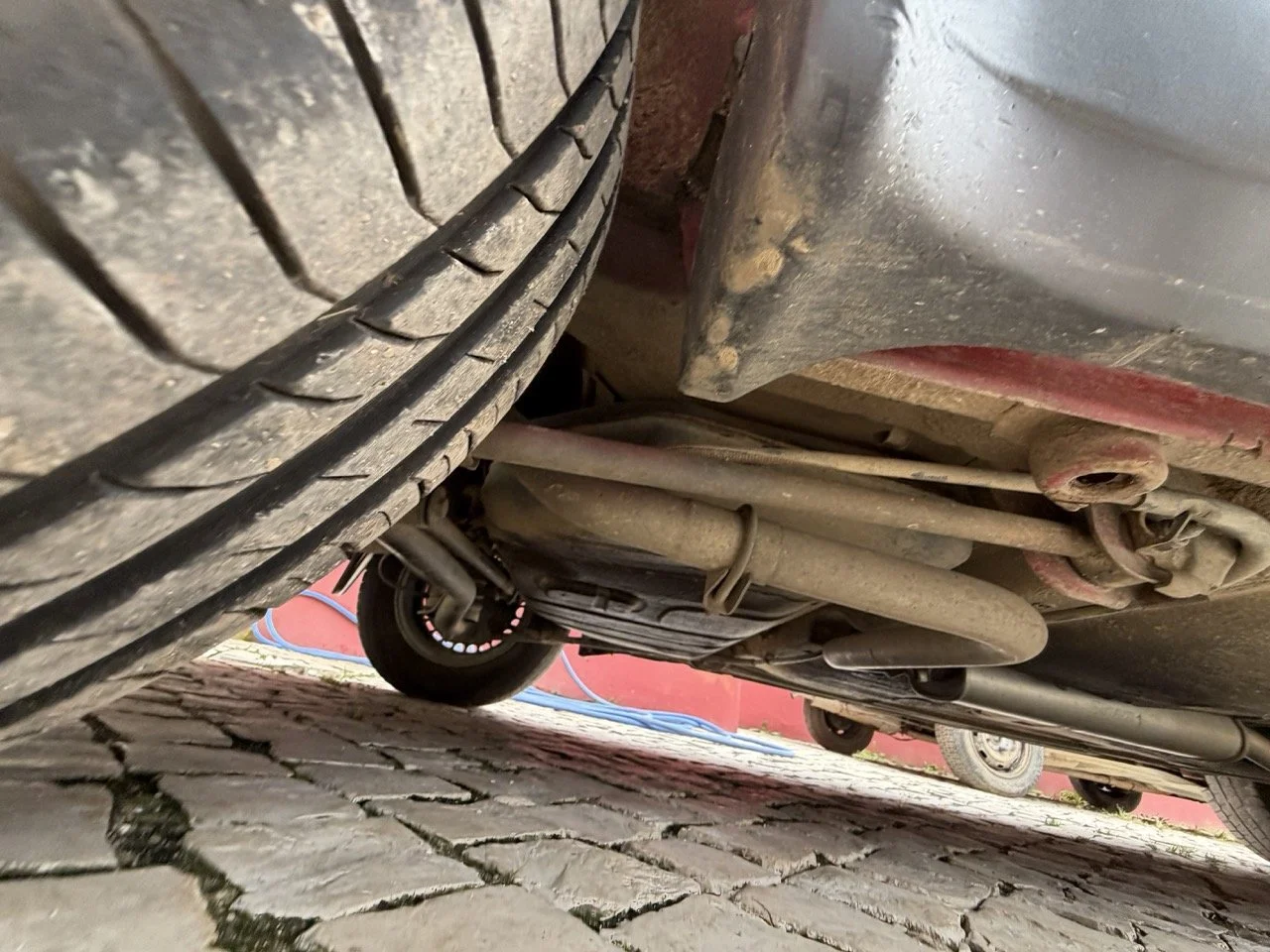 IMG_3537 – grande.jpeg