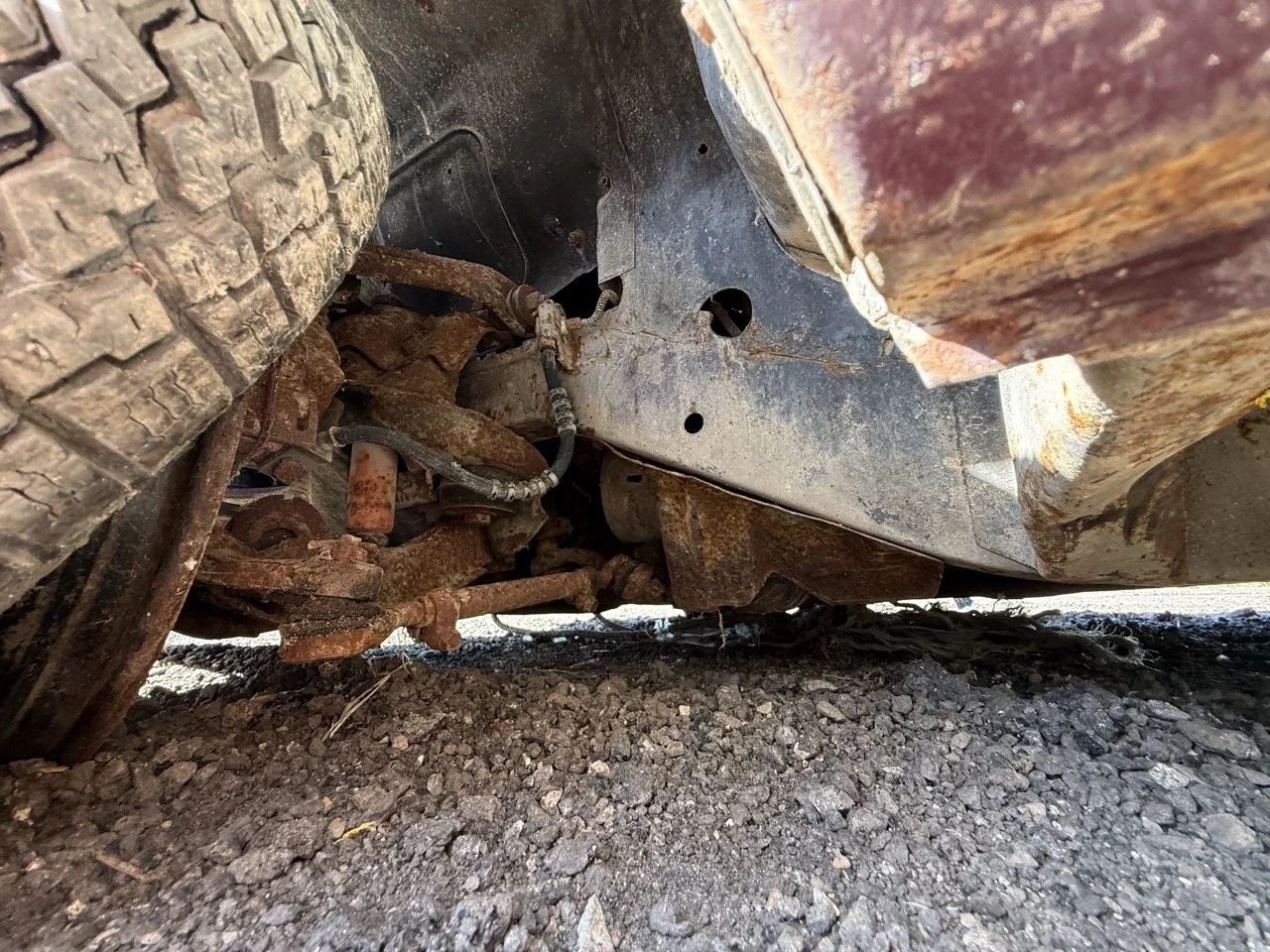 IMG_3048 – grande.jpeg