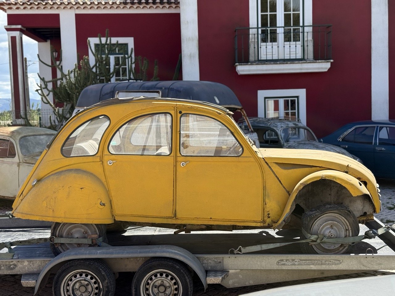 IMG_9089 2 – grande.jpeg